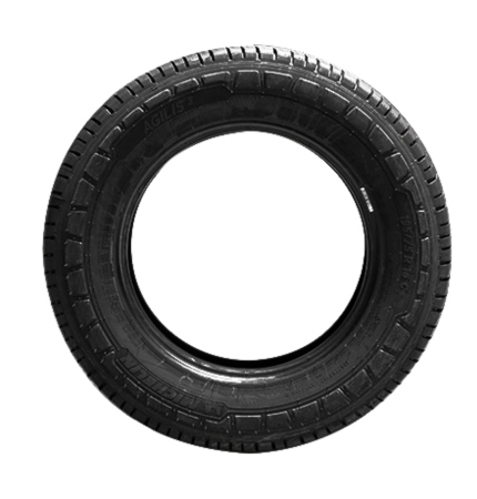 Michelin Agilis